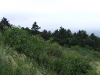 dscf3048