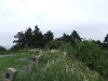 dscf3049
