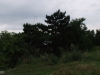 dscf3057