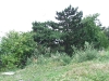 dscf3058