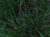 dscf3070