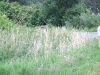 dscf3079