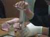 dsc00699
